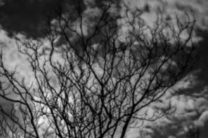 Πόλεμοι εθνικοί και πόλεμοι ταξικοί